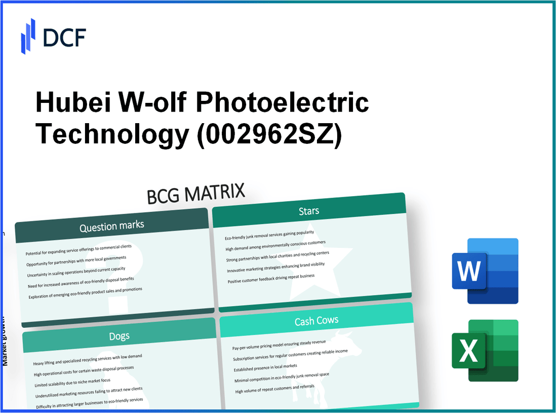 Hubei W-olf Photoelectric Technology Co., Ltd. (002962.SZ): BCG Matrix