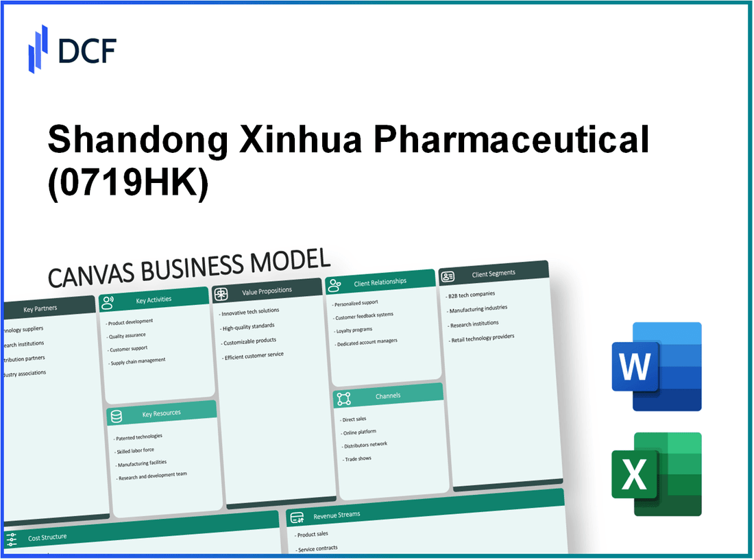 Shandong Xinhua Pharmaceutical Company Limited (0719.HK): Canvas Business Model
