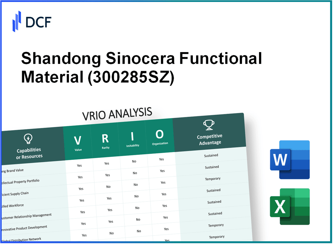 Shandong Sinocera Functional Material Co., Ltd. (300285.SZ): VRIO Analysis