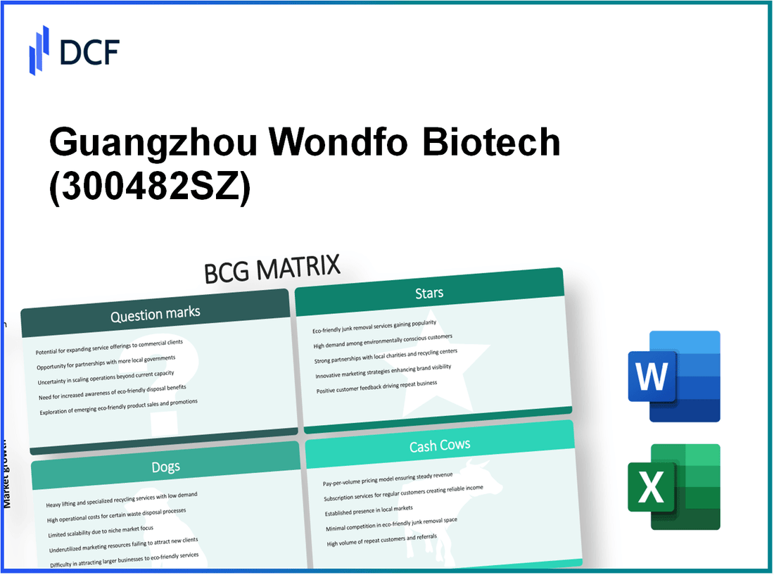 Guangzhou Wondfo Biotech Co.,Ltd (300482.SZ): BCG Matrix