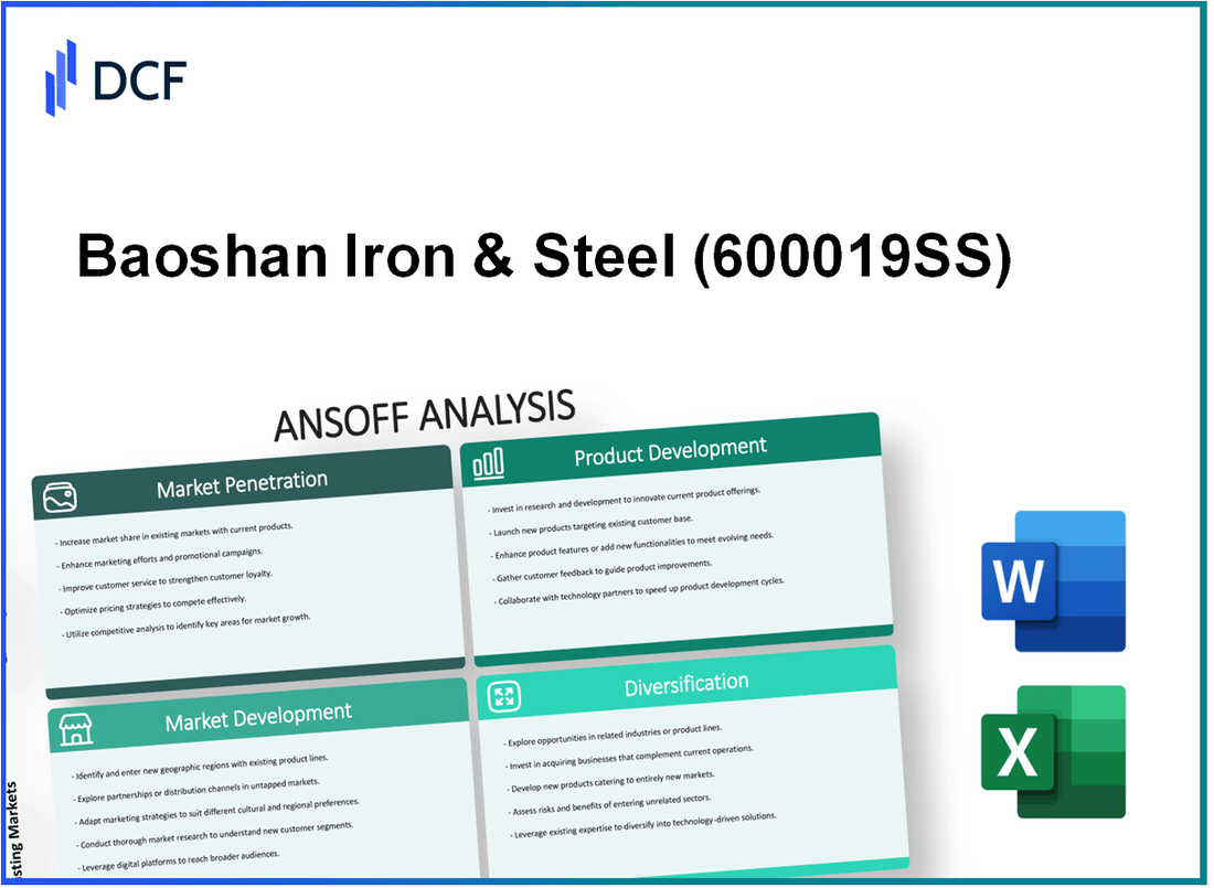 Baoshan Iron & Steel Co., Ltd. (600019.SS): Ansoff Matrix