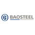 Baoshan Iron & Steel Co., Ltd. (600019.SS) Logo