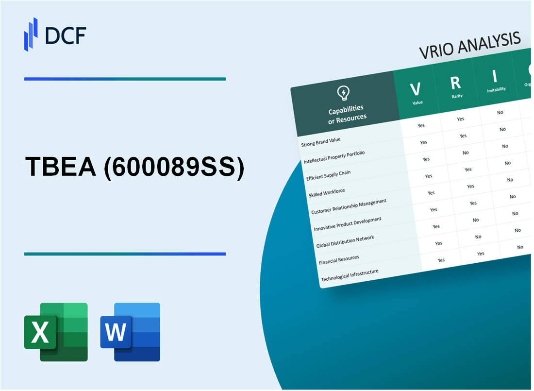 TBEA Co., Ltd. (600089.SS): VRIO Analysis