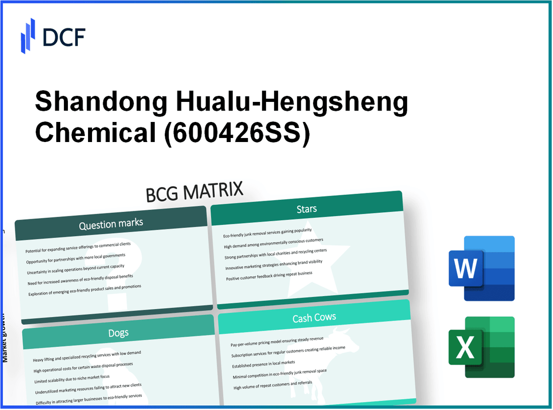 Shandong Hualu-Hengsheng Chemical Co., Ltd. (600426.SS): BCG Matrix