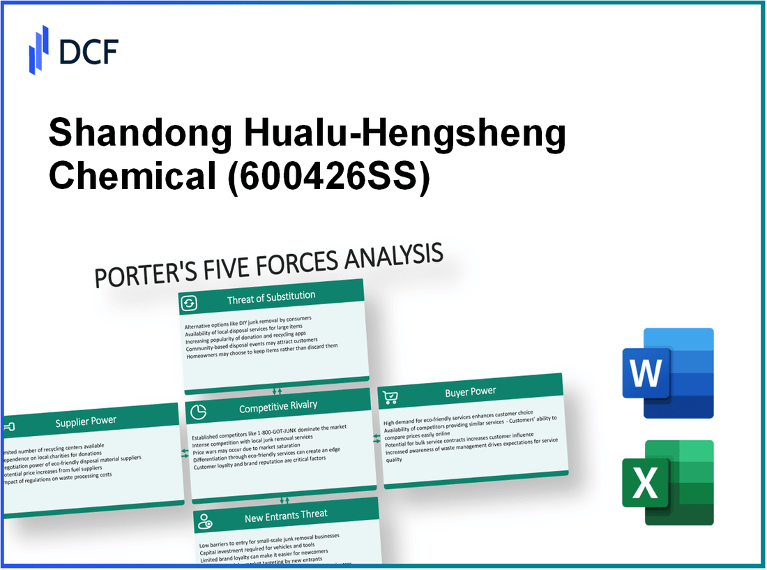Shandong Hualu-Hengsheng Chemical (600426.SS): Porter's 5 Forces Analysis