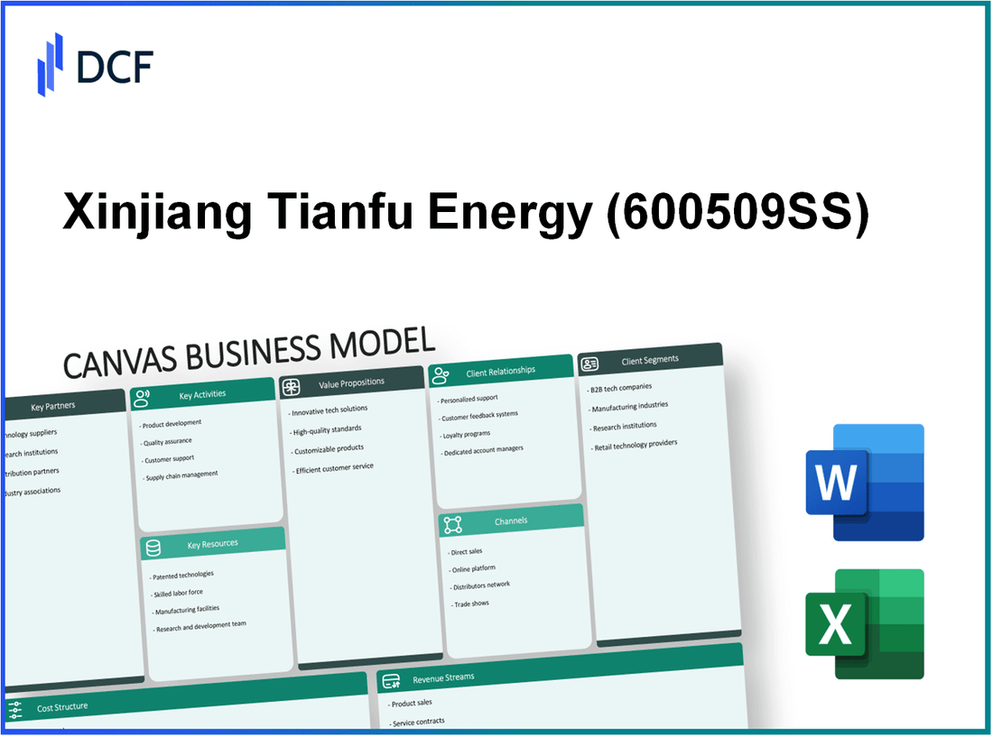 Xinjiang Tianfu Energy Co., Ltd. (600509.SS): Canvas Business Model