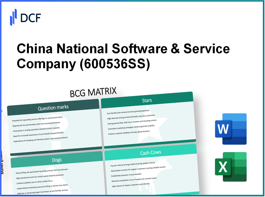 China National Software & Service Company Limited (600536.SS): BCG Matrix