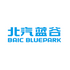 BAIC BluePark New Energy Technology Co.,Ltd. (600733.SS) Logo