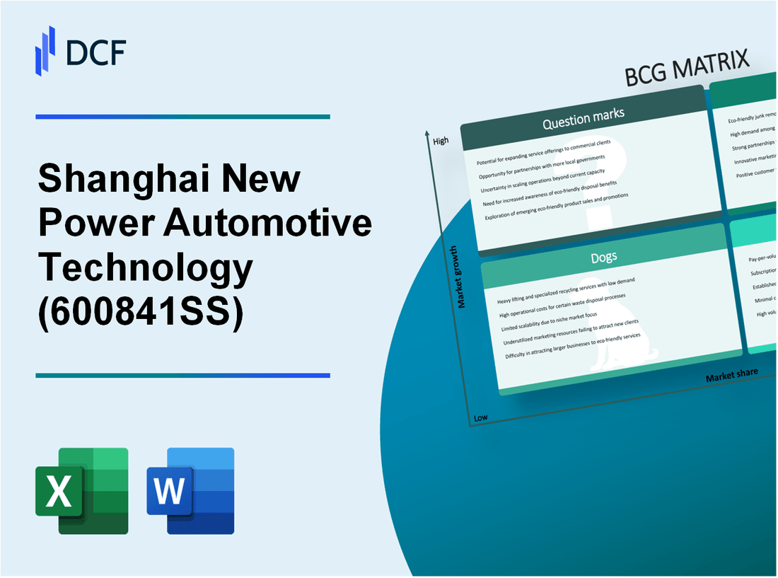 Shanghai New Power Automotive Technology Company Limited (600841.SS): BCG Matrix