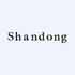Shandong Publishing&Media Co.,Ltd (601019.SS) Logo