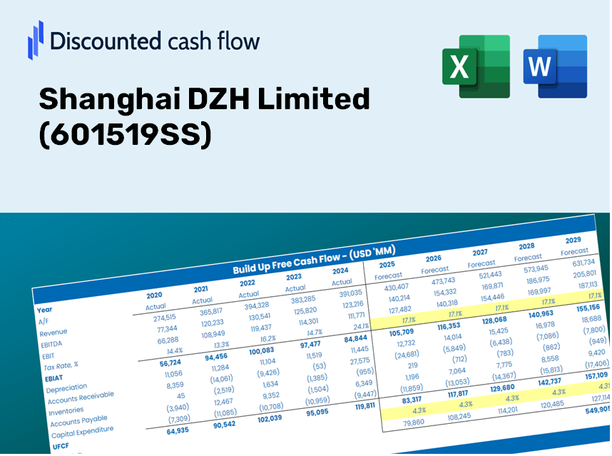 Shanghai DZH Limited (601519SS) DCF Valuation