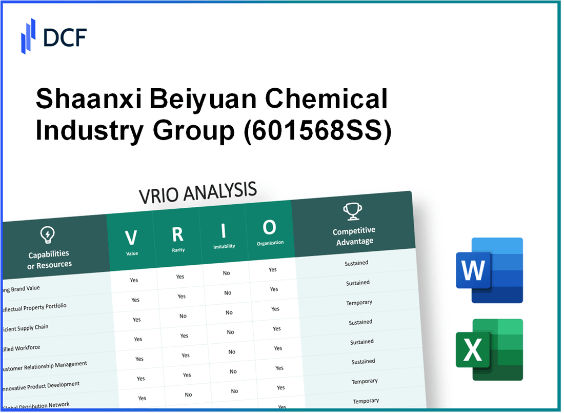 Shaanxi Beiyuan Chemical Industry Group Co., Ltd. (601568.SS): VRIO Analysis