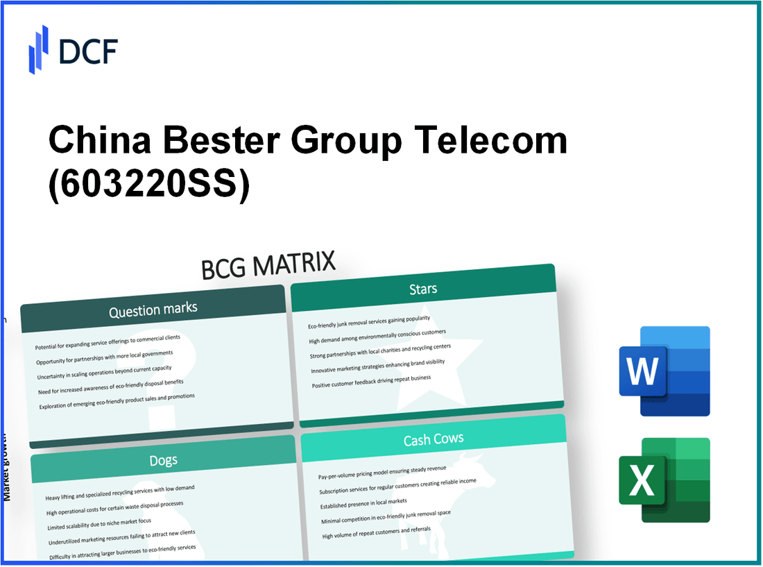 China Bester Group Telecom Co., Ltd. (603220.SS): BCG Matrix