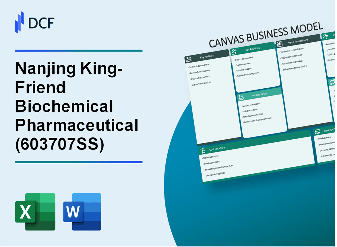 Nanjing King-Friend Biochemical Pharmaceutical Co., Ltd (603707.SS): Canvas Business Model