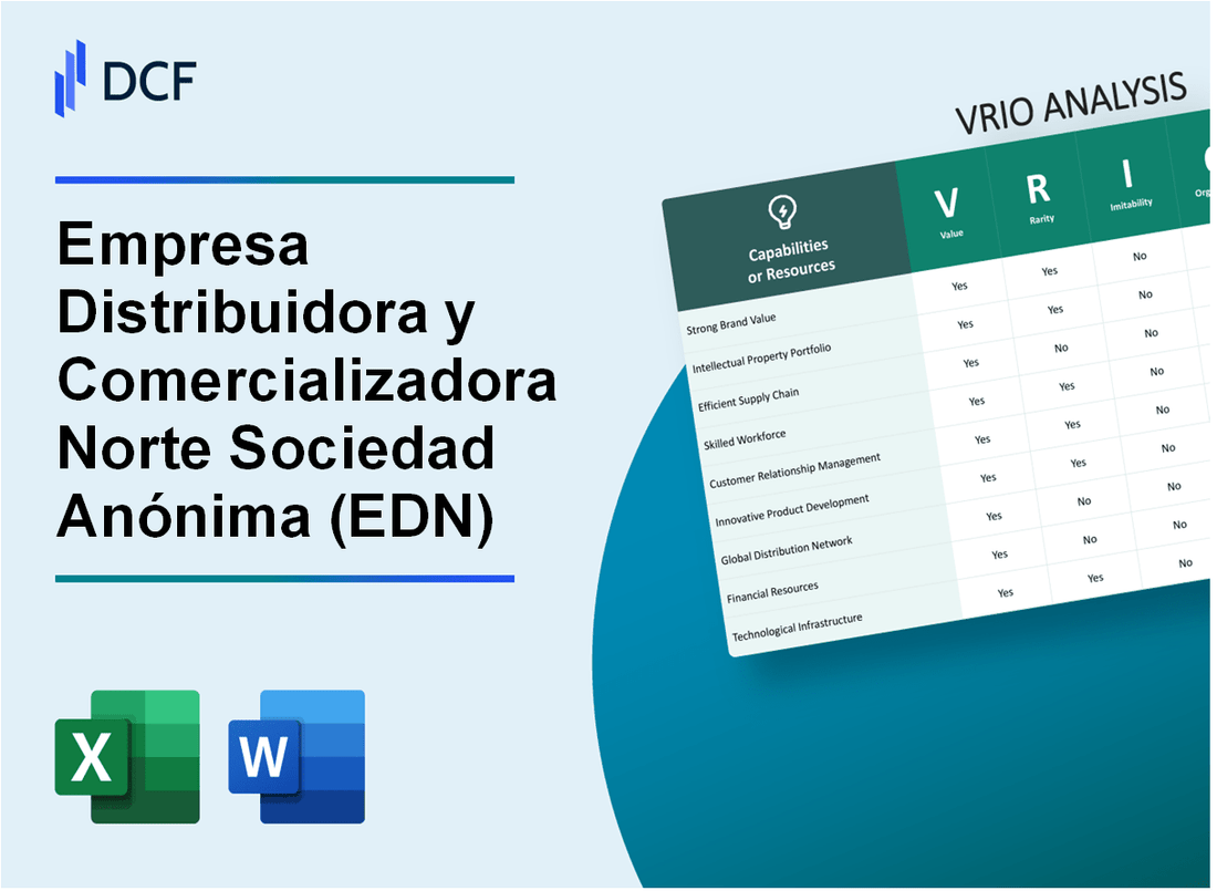 Empresa Distribuidora y Comercializadora Norte Sociedad Anónima (EDN) VRIO Analysis