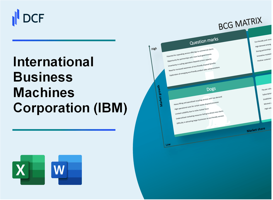 International Business Machines Corporation (IBM) BCG Matrix